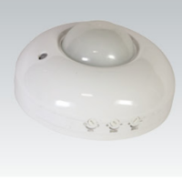 PI Motion Sensor